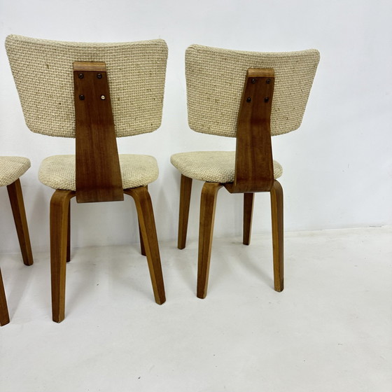 Image 1 of Lot de 4 chaises de salle à manger en contreplaqué Cor Alons, Mid Century Modern Dutch Design , 1960S
