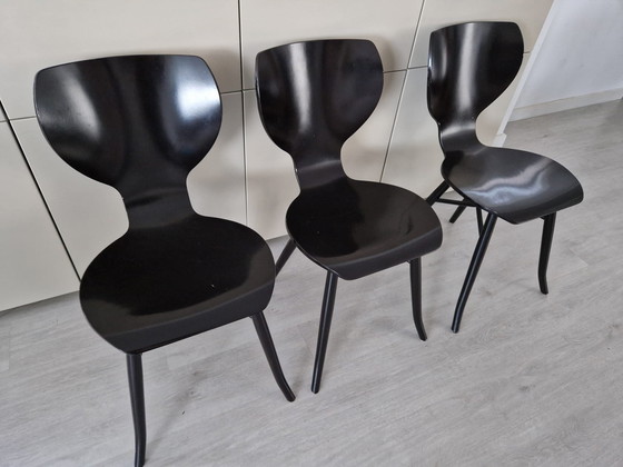 Image 1 of 3x Linteloo Tulipani Chairs