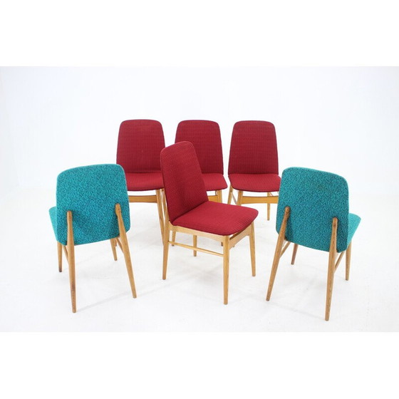 Image 1 of Ensemble de 6 chaises de salle à manger vintage en bois de frêne, Tchécoslovaquie années 1960