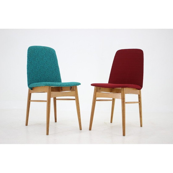 Image 1 of Ensemble de 6 chaises de salle à manger vintage en bois de frêne, Tchécoslovaquie années 1960