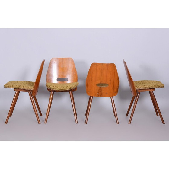 Image 1 of Ensemble de 4 chaises vintage en noyer par Frantisek Jirak pour Tatra Nabytok, Tchécoslovaquie, années 1950