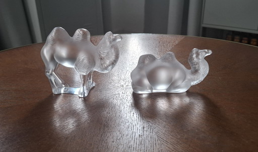 Chameaux Lalique