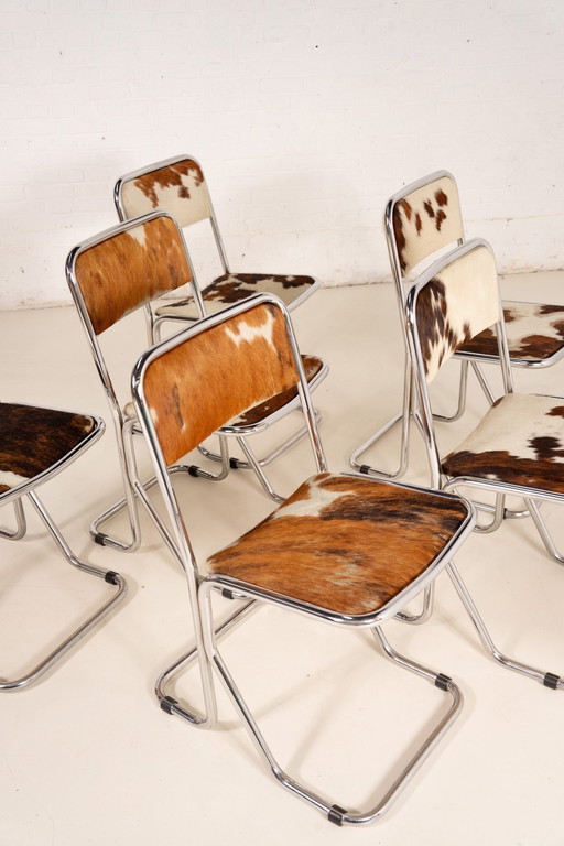 6X Chaises de salle à manger en cuir de vache chromé