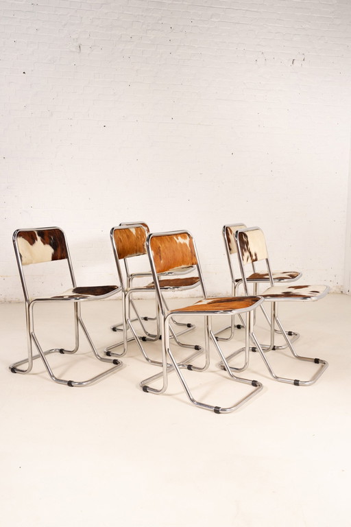 6X Chaises de salle à manger en cuir de vache chromé