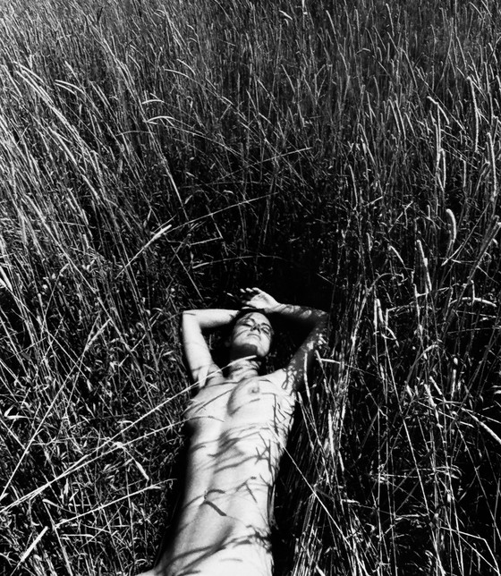 Image 1 of Michel Pinel Sublime Photographie Artistique De Nu