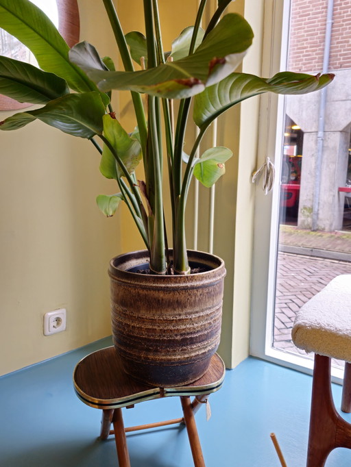 Grand pot de fleur vintage en céramique robuste