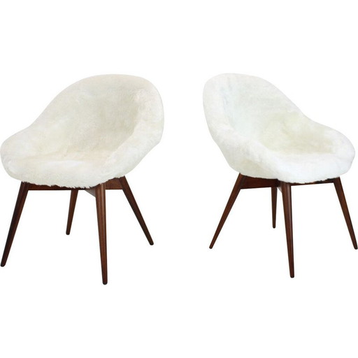Paire de chaises vintage de Miroslav Navratil, Tchécoslovaquie 1960