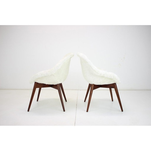 Paire de chaises vintage de Miroslav Navratil, Tchécoslovaquie 1960