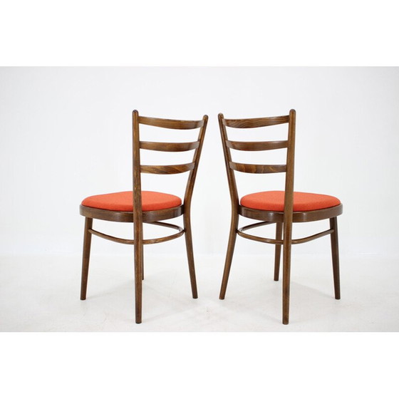 Image 1 of Ensemble de 4 chaises vintage, Tchécoslovaquie 1965