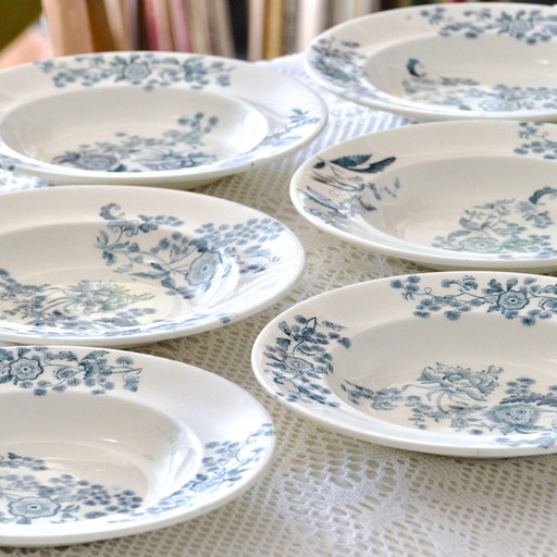 6x Assiettes Xixe Longwy "Ycho" Terre De Fer