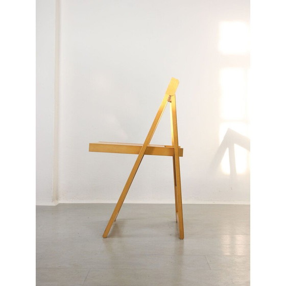 Image 1 of Chaise pliante vintage Trieste par Aldo Jacober