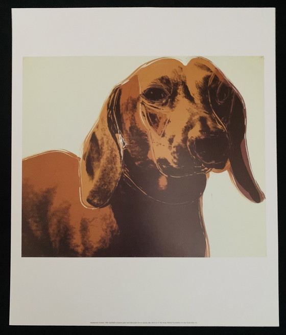 Image 1 of Andy Warhol : "Teckel (Archie) 1976".