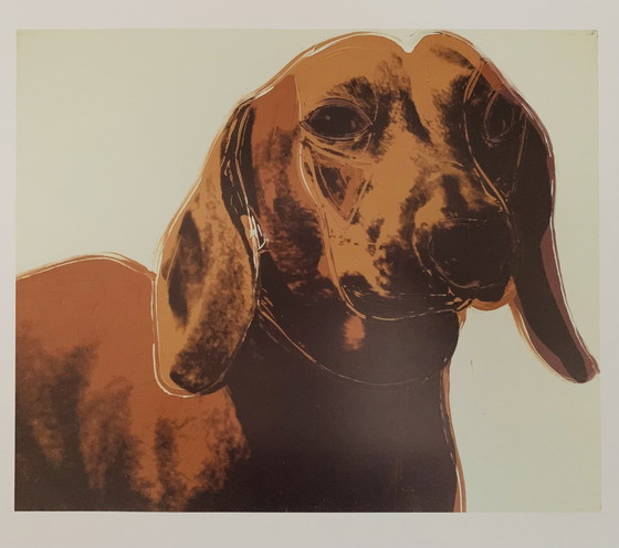 Image 1 of Andy Warhol : "Teckel (Archie) 1976".