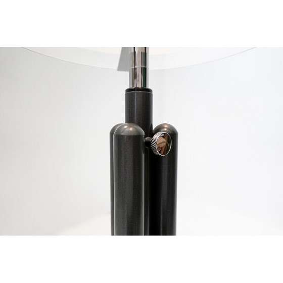 Image 1 of Lampadaire Vintage Lte 13 "Porcino" par Luigi Caccia Dominioni, Italie années 1960