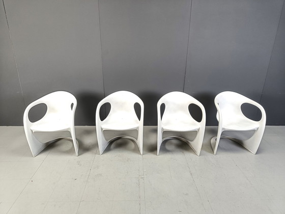 Image 1 of Ensemble de 4 chaises de salle à manger Casalino par Alexander Begge pour Casala, 1970S