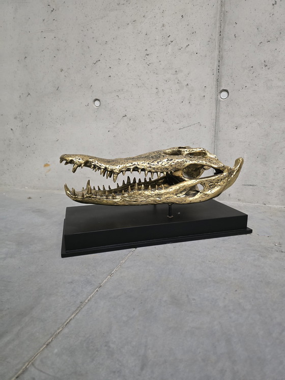 Image 1 of Crâne de crocodile d'eau salée en bronze sur support personnalisé