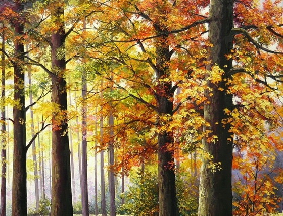 Image 1 of Tomasz Kachelski "Forêt d'automne" (en anglais)