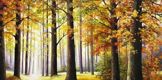 Image 1 of Tomasz Kachelski "Forêt d'automne" (en anglais)