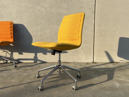 Chaise de bureau Lotus de Cappellini