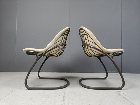 Image 1 of Chaises de salle à manger Gastone Rinaldi 'Pascale', 1970S - Lot de 5