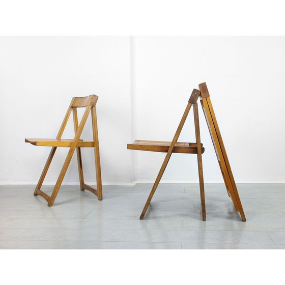 Image 1 of Chaise pliante vintage Trieste par Aldo Jacober