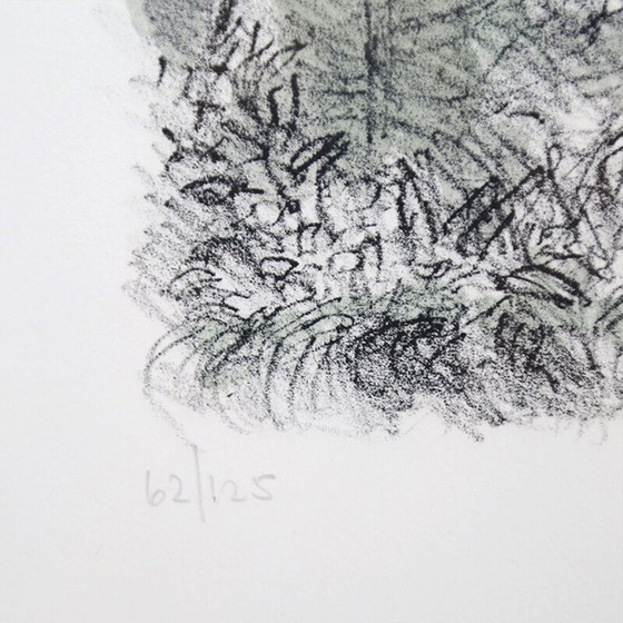 Image 1 of Lithographie vintage "Portofino" de Michele Cascella, 1960