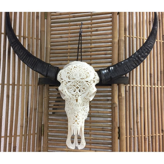 Image 1 of Crâne de buffle vintage sculpté à la main