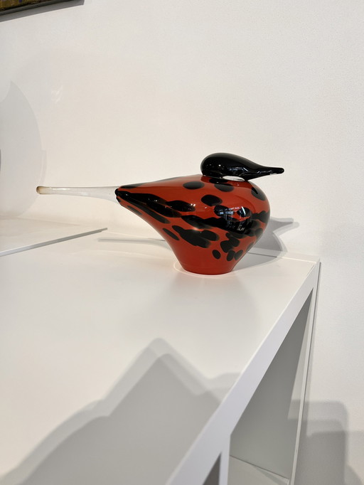 Art du verre, Oiseau