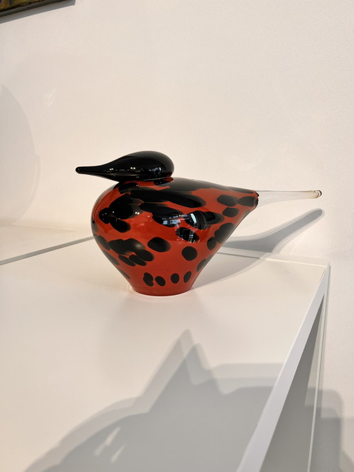 Art du verre, Oiseau