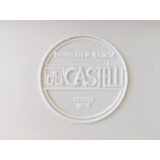 Image 1 of Paire de chaises Cadeira vintage par Castelli, 1970