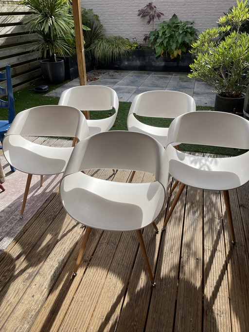 5x Züco Little Perillo Chair