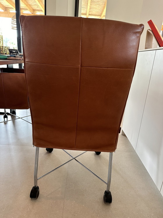 Image 1 of 8x Montis Dining Chairs Chaplin By Gerard Van Den Berg