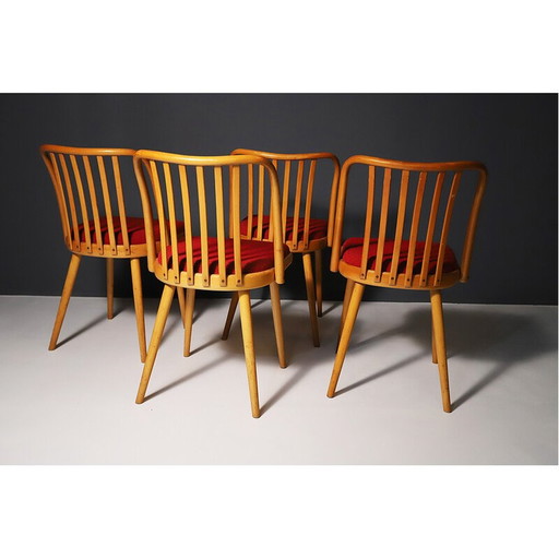 Ensemble de 4 chaises de salle à manger du milieu du siècle par Antonín Šuman, 1960s