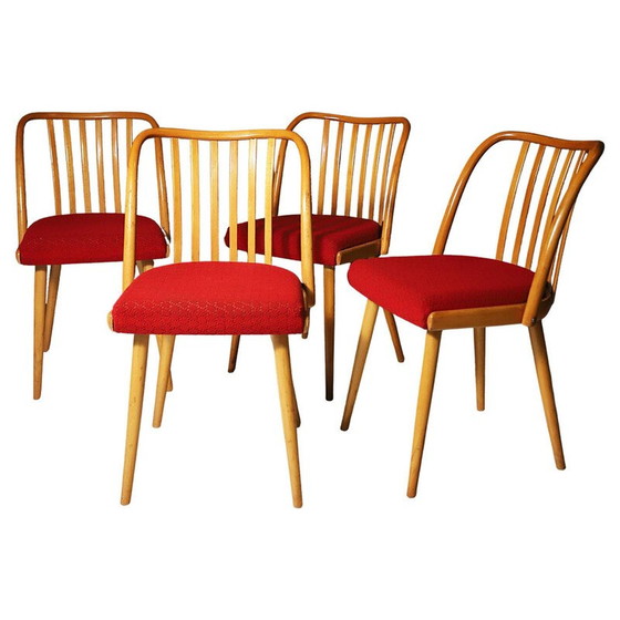 Image 1 of Ensemble de 4 chaises de salle à manger du milieu du siècle par Antonín Šuman, 1960s