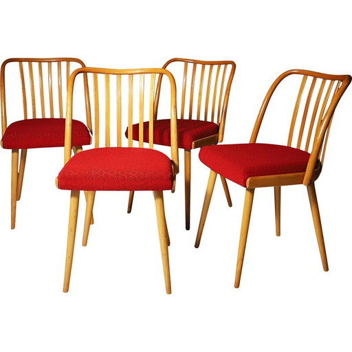 Ensemble de 4 chaises de salle à manger du milieu du siècle par Antonín Šuman, 1960s