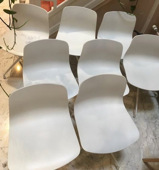 Image 1 of 8x Chaises Hay Aac 10 blanches