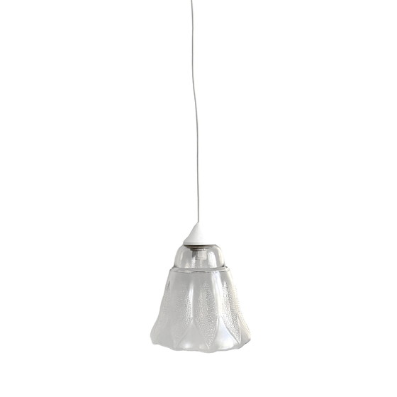 Image 1 of Lampe suspendue en forme de fleur, Narva Leuchen, Allemagne, années 1970.