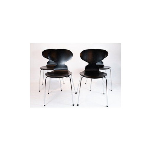 Lot de 4 chaises vintage modèle 3101 par Arne Jacobsen par Fritz Hansen 2006