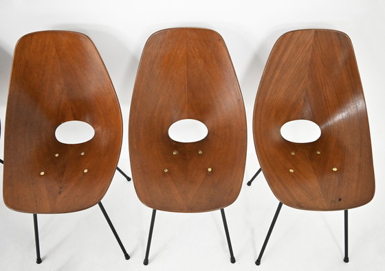 Image 1 of Chaises "Medea" par Vittorio Nobili pour Fratelli Tagliabue, 1950, ensemble de 6