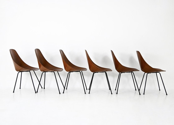 Image 1 of Chaises "Medea" par Vittorio Nobili pour Fratelli Tagliabue, 1950, ensemble de 6