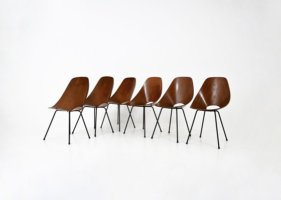 Image 1 of Chaises "Medea" par Vittorio Nobili pour Fratelli Tagliabue, 1950, ensemble de 6