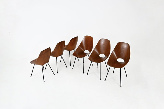 Image 1 of Chaises "Medea" par Vittorio Nobili pour Fratelli Tagliabue, 1950, ensemble de 6