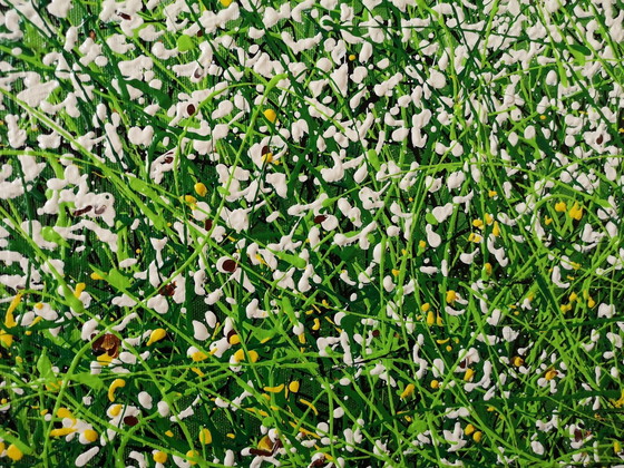 Image 1 of Giovanni Daurea - Floreale (peinture unique)