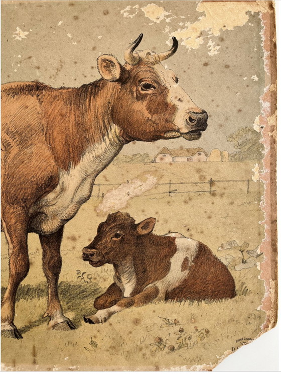 Image 1 of Illustration de la carte scolaire d'Antik, double face, cheval/bœuf et vache/veau, lithographie, vie agricole, Shabby Chic