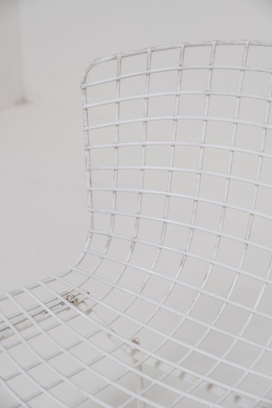 Image 1 of Ensemble de 8 chaises de salle à manger Bertoia