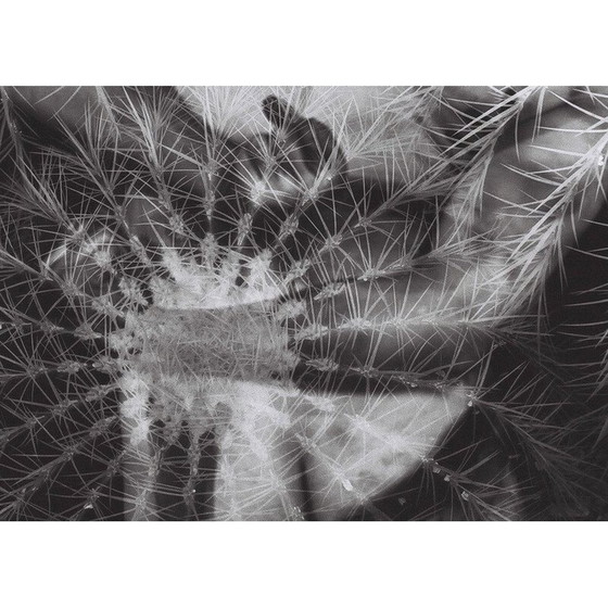 Image 1 of Tableau vintage Mouvements naturels 12 par Meïdhy Bichon, 2019