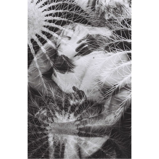 Image 1 of Tableau vintage Mouvements naturels 12 par Meïdhy Bichon, 2019