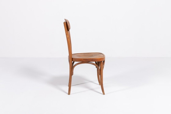 Image 1 of Chaise vintage de Kohn pour Thonet