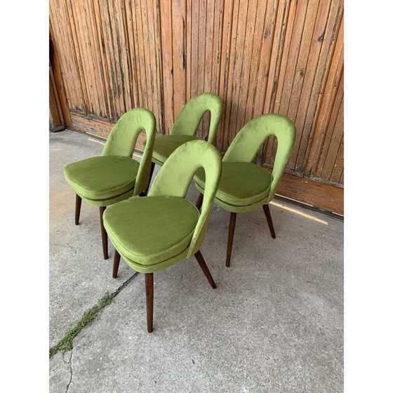 Image 1 of Ensemble de 4 chaises de salle à manger du milieu du siècle par Antonín Šuman pour Tatra Nábytok, 1960s