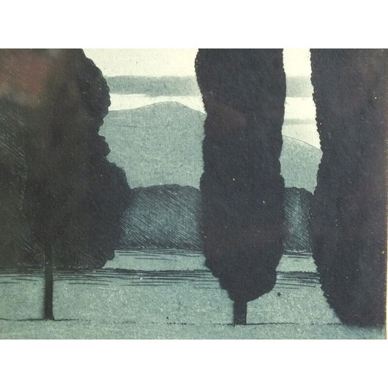 Image 1 of Gravure à l'aquatinte du Lac des cygnes vintage par Sir Claude Francis Barry, 1900